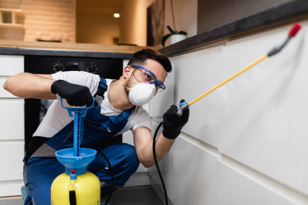 Best Best Pest Control Companies  in Camp Verde, AZ