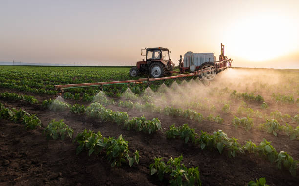 Pest Control Cost in Camp Verde, AZ