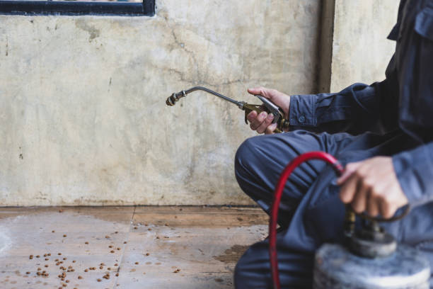 Best Commercial Pest Control Services  in Camp Verde, AZ
